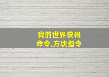 我的世界获得命令,方块指令