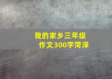 我的家乡三年级作文300字菏泽