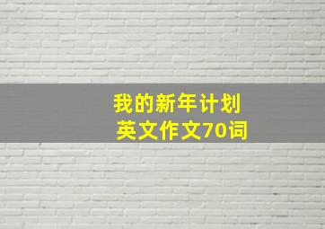 我的新年计划英文作文70词