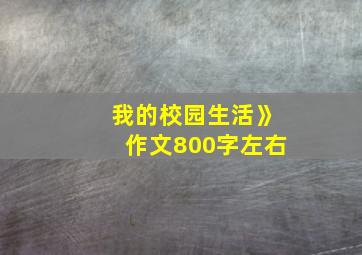 我的校园生活》作文800字左右