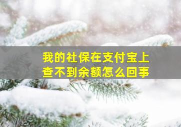 我的社保在支付宝上查不到余额怎么回事