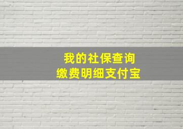 我的社保查询缴费明细支付宝