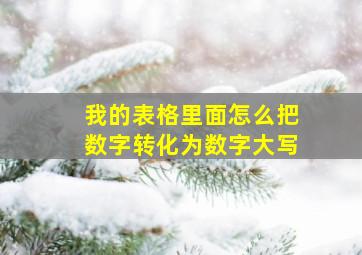 我的表格里面怎么把数字转化为数字大写