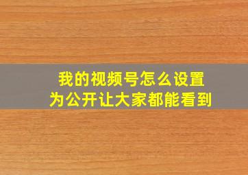 我的视频号怎么设置为公开让大家都能看到