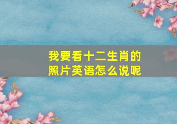 我要看十二生肖的照片英语怎么说呢