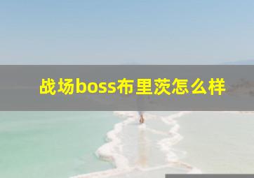 战场boss布里茨怎么样