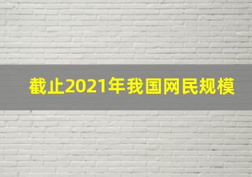 截止2021年我国网民规模