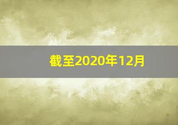 截至2020年12月