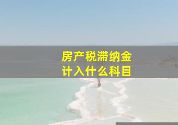 房产税滞纳金计入什么科目