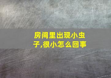 房间里出现小虫子,很小怎么回事