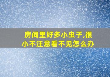 房间里好多小虫子,很小不注意看不见怎么办