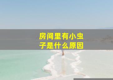 房间里有小虫子是什么原因