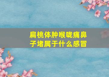 扁桃体肿喉咙痛鼻子堵属于什么感冒