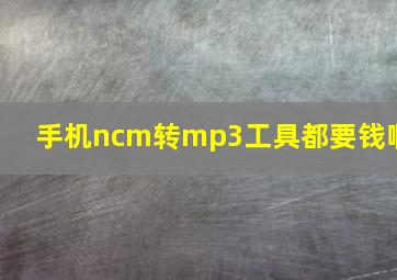 手机ncm转mp3工具都要钱啊