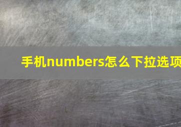 手机numbers怎么下拉选项