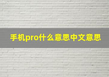 手机pro什么意思中文意思