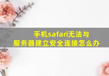 手机safari无法与服务器建立安全连接怎么办