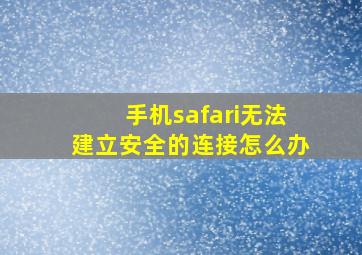 手机safari无法建立安全的连接怎么办