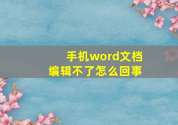 手机word文档编辑不了怎么回事