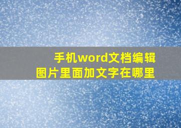 手机word文档编辑图片里面加文字在哪里