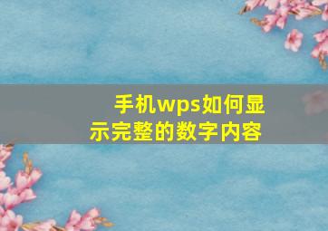 手机wps如何显示完整的数字内容