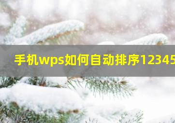 手机wps如何自动排序1234567