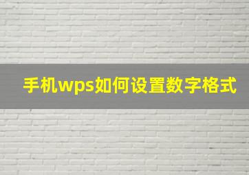 手机wps如何设置数字格式