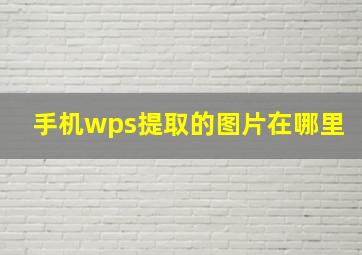 手机wps提取的图片在哪里