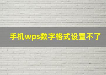 手机wps数字格式设置不了