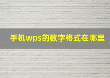 手机wps的数字格式在哪里