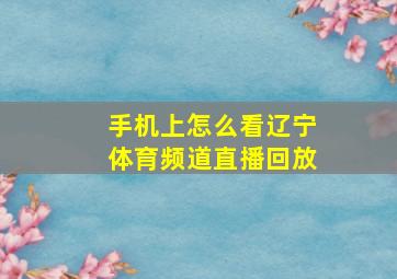 手机上怎么看辽宁体育频道直播回放