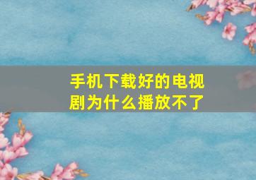 手机下载好的电视剧为什么播放不了