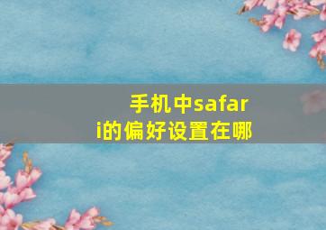 手机中safari的偏好设置在哪