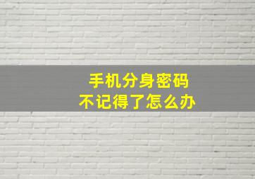 手机分身密码不记得了怎么办