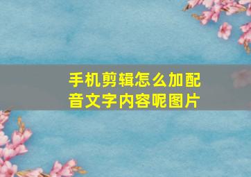 手机剪辑怎么加配音文字内容呢图片