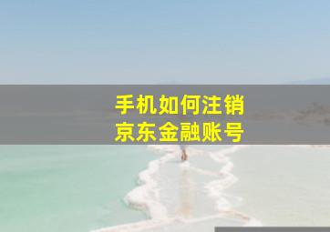 手机如何注销京东金融账号