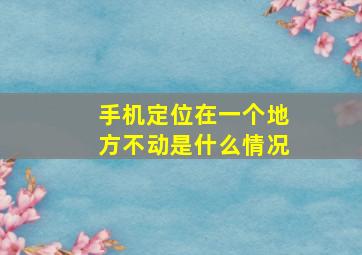 手机定位在一个地方不动是什么情况