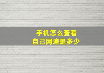 手机怎么查看自己网速是多少