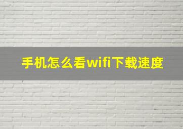 手机怎么看wifi下载速度