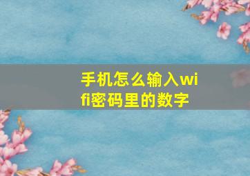 手机怎么输入wifi密码里的数字