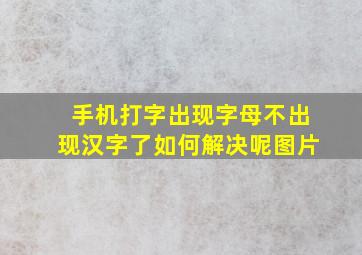 手机打字出现字母不出现汉字了如何解决呢图片