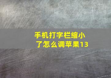 手机打字栏缩小了怎么调苹果13