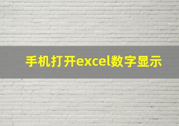 手机打开excel数字显示