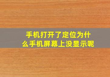 手机打开了定位为什么手机屏幕上没显示呢