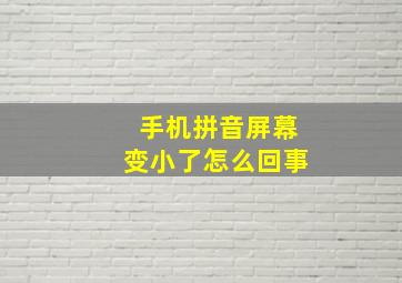 手机拼音屏幕变小了怎么回事