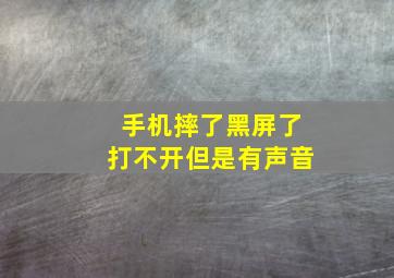 手机摔了黑屏了打不开但是有声音