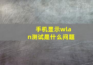 手机显示wlan测试是什么问题