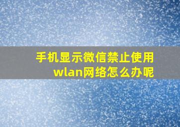 手机显示微信禁止使用wlan网络怎么办呢