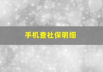 手机查社保明细