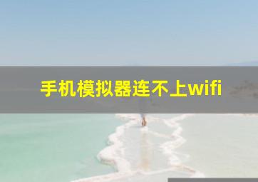 手机模拟器连不上wifi